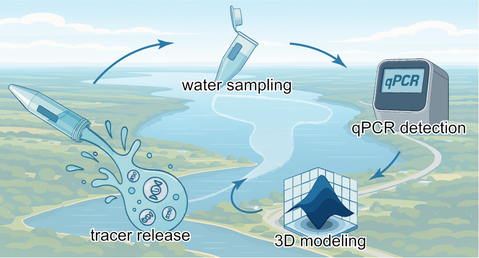Flowchart of DNA PLGA Microspheres for tracing