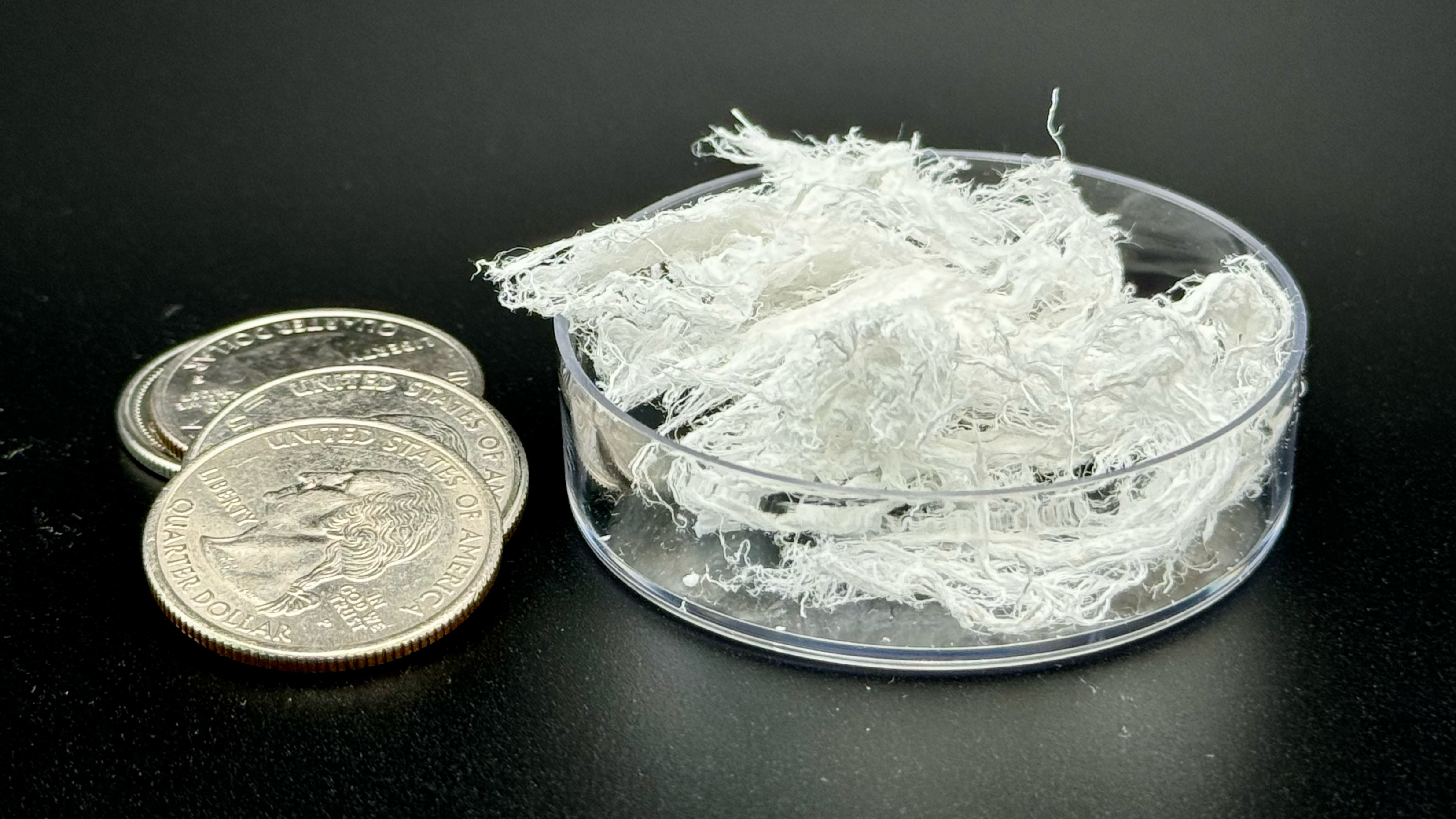 $1 and $1 of DNA (from salmon)