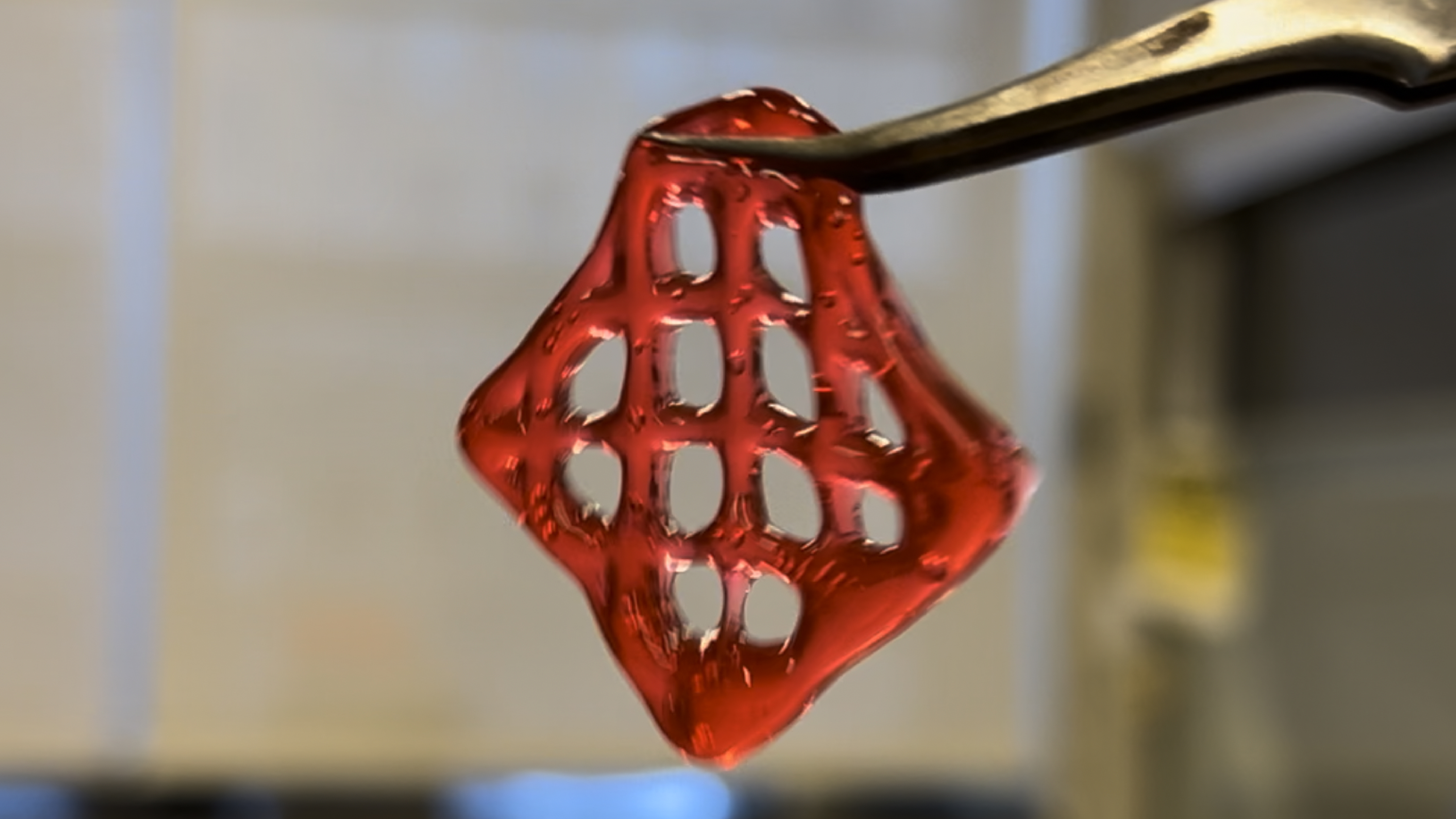 3D printed DNA hydrogel