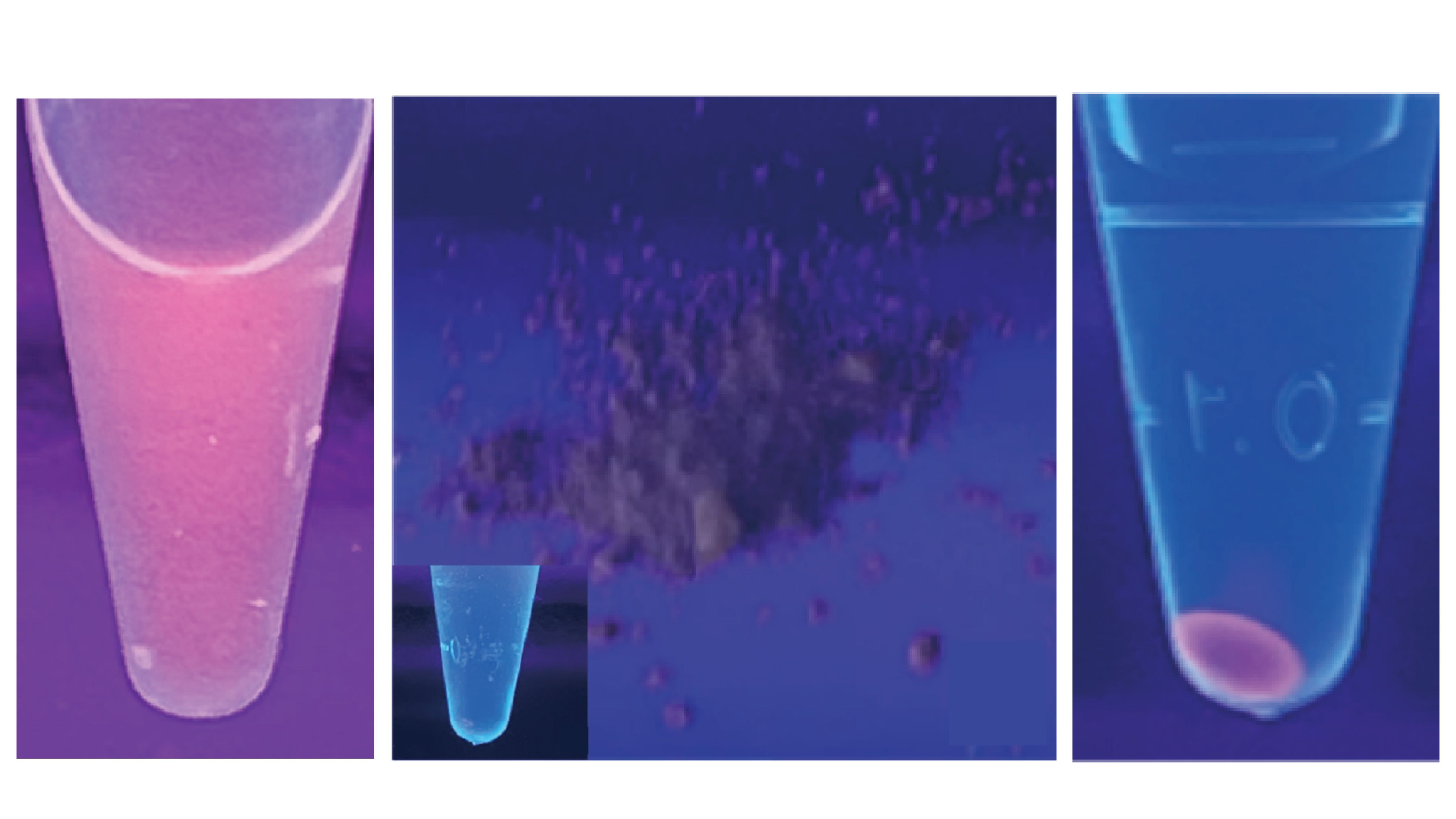 Novel nanoparticles capture DNA